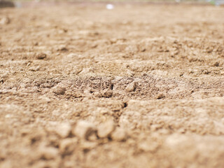 Fototapeta na wymiar Closeup photo of dry land or soil. concept of drought and global warming