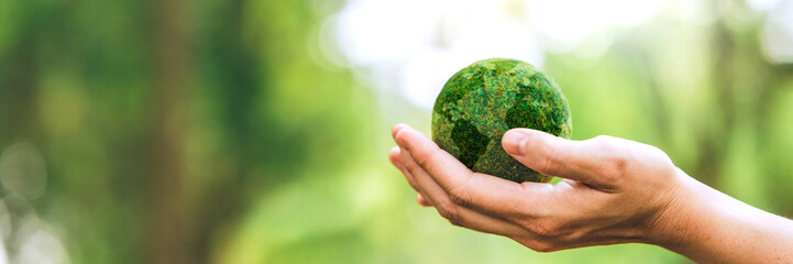 Environment Earth Day hands holding earth environmentally sustainable Save Earth. the Environment...