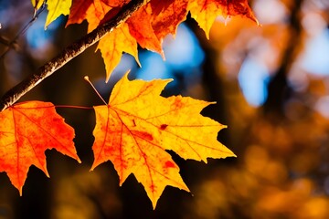 Vibrant Autumn Symphony: Colorful Leaves Swinging in an Autumnal Park. Generative AI