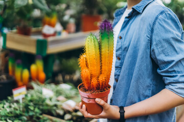 Man holding a colorful plant