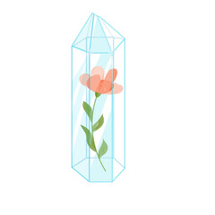 Outline Crystal. Curative Transparent Healing Quartz with Floral,Flowers. Gradient Clear Bright Gem with Frame. Magic Stone
