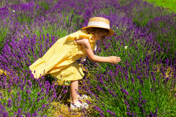 Cute adorable little girl in provence lavender field