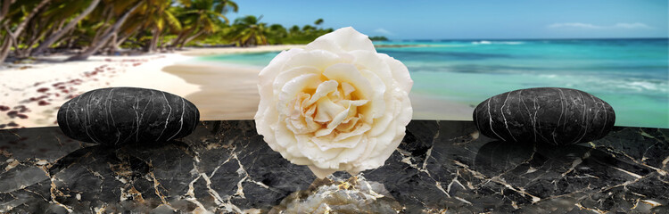 White rose and black zen stones on adark marble tabletop with a tropical scene in a distant background