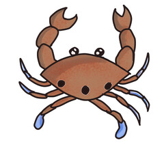 cartoon crab on white background