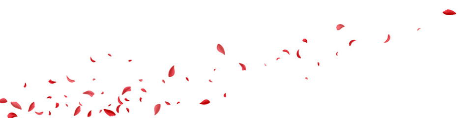 Red Blossom Blur Vector White Panoramic