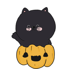 HALLOWEEN Back CAT 