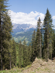 Fototapeta na wymiar Alps and Alpine Landscape at Muehlbach am Hochkoenig in Summer Austria Europe