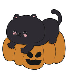 HALLOWEEN Back CAT 