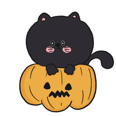HALLOWEEN Back CAT 