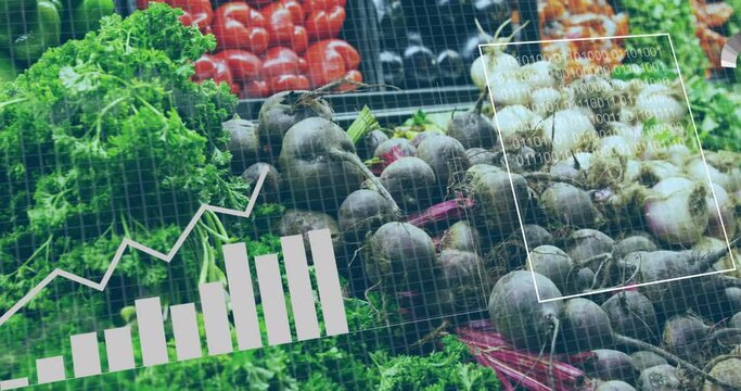 Animation of statistics and data processing over vegetables in baskets in food shop