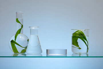 In the glass laboratory instruments containing fresh seaweed leaves and clear liquid on backlit blue background. A transparent podium for display your product. Front view, concept for organic cosmetic © Tuan  Nguyen 