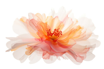 essential blend of tangerine and rose blush isolated on black and white background, AI generated