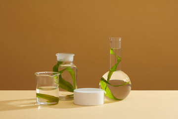 Round podium in white color decorated with glass beaker, jar and flat-bottom florence flask of seaweed. Blank space to display product. Laboratory concept