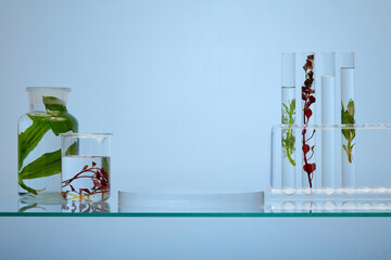 On the glass pedestal, the experimental equipment is holding bright red and green seaweed leaves and clear liquid on blue background. Blank space on transparent podium for display your product.