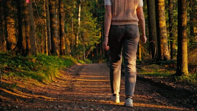 Young woman walks in forest at sunset and finally feels freed from urban stress.