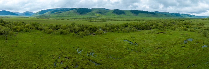 Beautiful forest wetland landscape in Sichuan,China