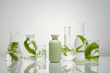 A set of transparent glassware filled with green seaweed and water. Cosmetic bottle in pastel color...