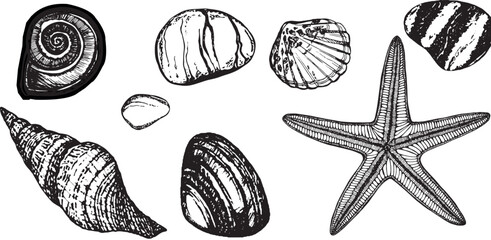 Nautical set, collection of stones, pebbles. Black and white hand-drawn graphics translated into vector illustration 
