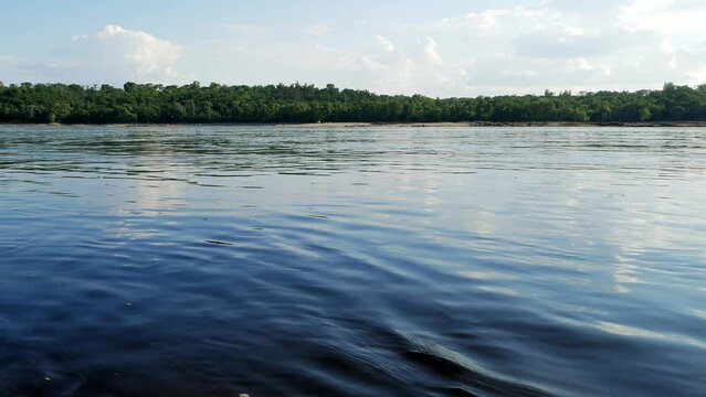 A wide river with a fast flow of water and a forest on the opposite bank. Seamless loop video
