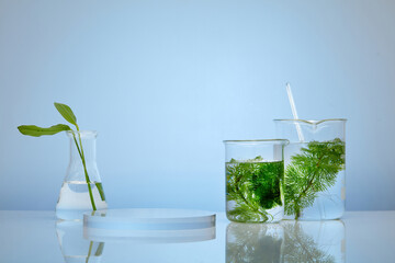 Glass beakers of seaweed and erlenmeyer flask with green leaves inside displayed with round podium....
