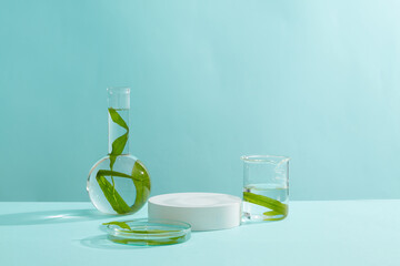 Some laboratory glassware containing seaweed surrounded a empty podium in white color. The healing benefits of seaweed for skin are so numerous