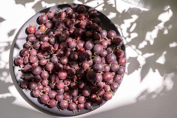 Gooseberries in a plate on the table. Vitamin summer food. Berry harvest. Pink berries background.