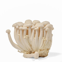 White Beech Mushrooms