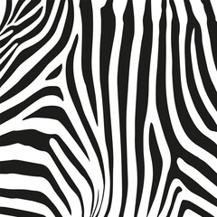 Zebra skin pattern. Black and white. Vector.