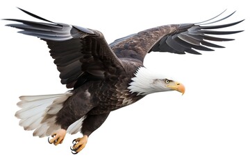 Bald Eagle Flying with White Background. Generative AI