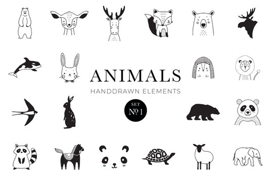 Animals handdrawn elements, Animal illustrations