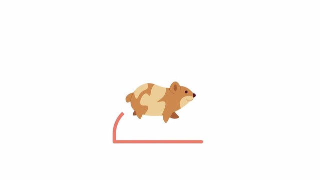 Hamster in wheel running 2D character animation. Cute animal playing in circle flat cartoon 4K video, transparent alpha channel. Rodent activity. Hamster racing animated animal on white background