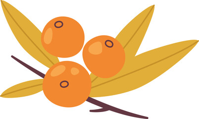 Sea Buckthorn Berries