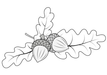 Acorns and Oak Leaves