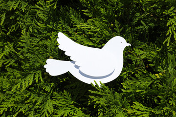 International day of peace or world peace day, symbol of peace - pigeon