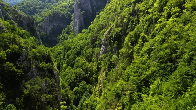 Ramet gorges from Transylvania, Trascau mountains, Alba county, Romania. Drone footage.