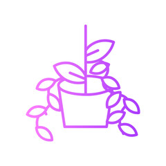 plant gradient icon