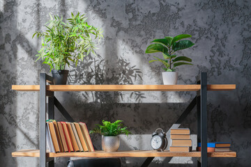 Sunlight shadow on storage shelves with books and flowers. Light wooden bookshelves with hardback...