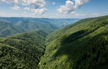 Forests of Romania. Wide angle landscape photo with the amazing green forest from Orastiei Mountains under a clear blue sky and white clouds. Nature of Romania.