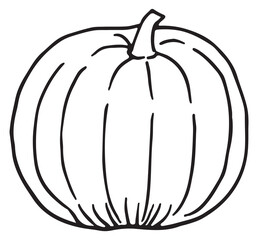 Pumpkin icon. Hand drawn vegetable. Harvest symbol