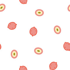 Red Pomegranate Fruits and Lychee Berries Digital Paper. Garnet and Litchi on White Background.