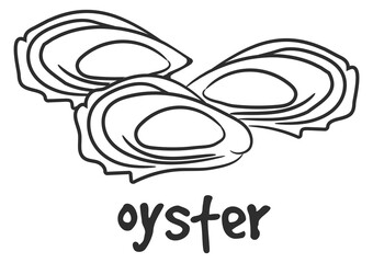 Oyster seafood doodle. Fresh tatsy gourmet food