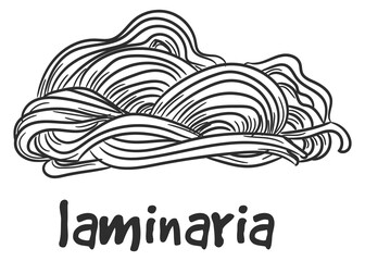 Laminaria doodle. Seaweed food. Healthy fresh salad