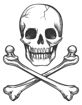 Skull and cross bones. Poison symbol in hand drawn style