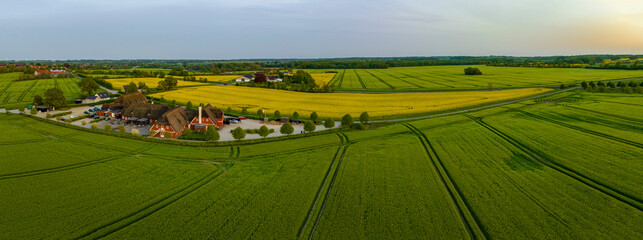 Aerial view, Denmark, Region Syddanmark, Christiansfeld, Agriculture and farms with grain and rapeseed fields, - obrazy, fototapety, plakaty
