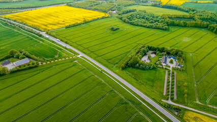 Aerial view, Denmark, Region Syddanmark, Christiansfeld, Agriculture and farms with grain and rapeseed fields,