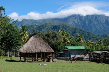 Traditional thatched roof house nestled amongst the rugged mountainous landscape in the districts of Timor-Leste, Southeast Asia