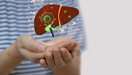 Human hand hold care liver health therapy, Liver cancer, cancer, donation liver, disease, donation,...