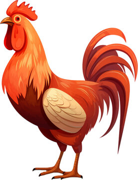 orange and brown rooster, in the style of colored cartoon style, white background