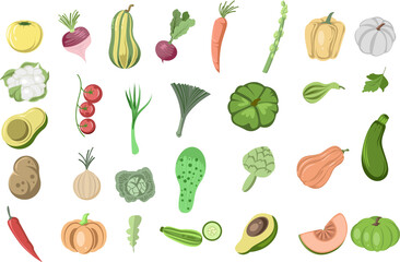 vegetables illustration set collection