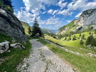 Suisse
